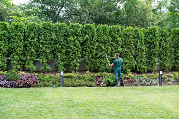 Tree Removal for Businesses in Lorenz Park, NY